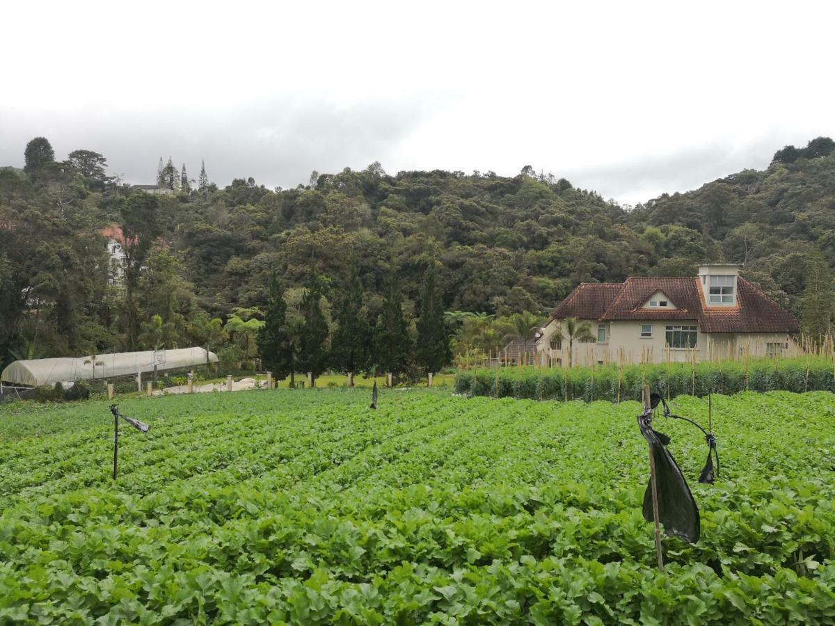 Dear Dino European Villa Cameron Highlands Luaran gambar